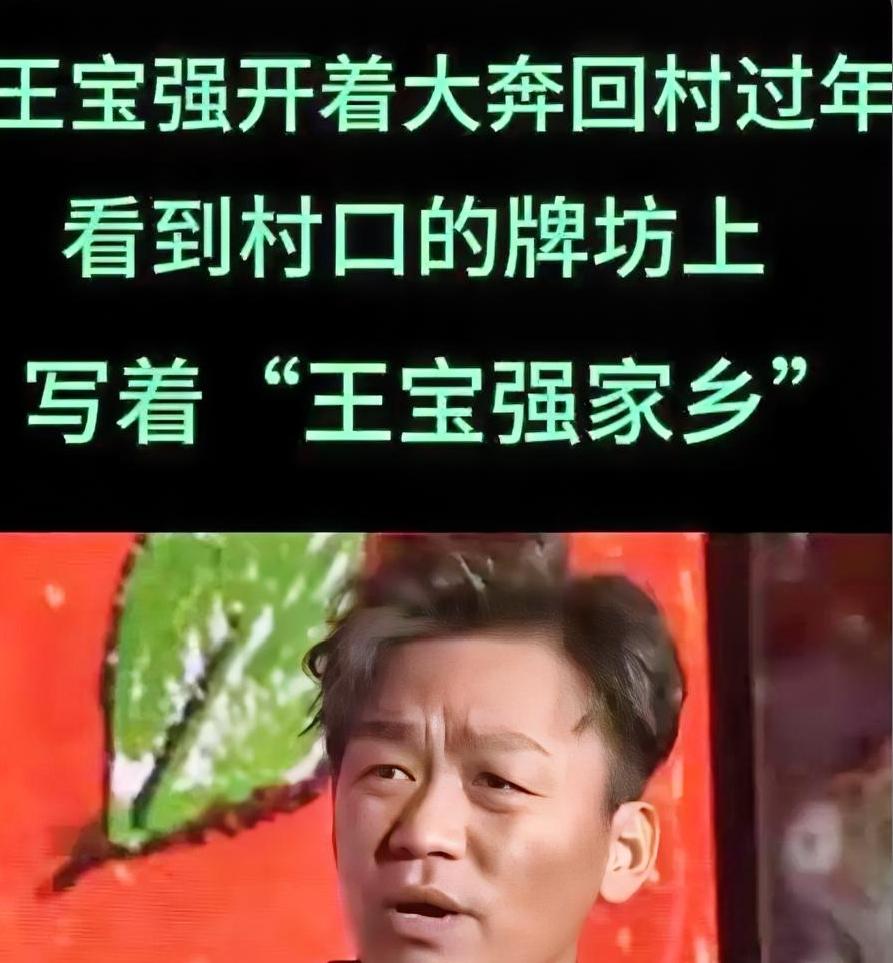 王宝强开着300万的大奔回村过年，看到村口的牌坊上写着“王宝强家乡”，王宝强很不