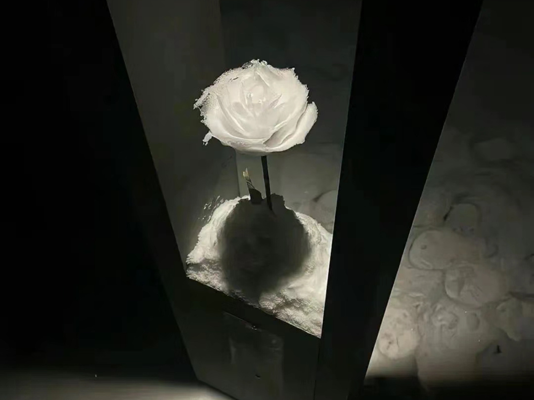 怕目光夹杂爱意所以不敢直视你的眼睛. ​​​