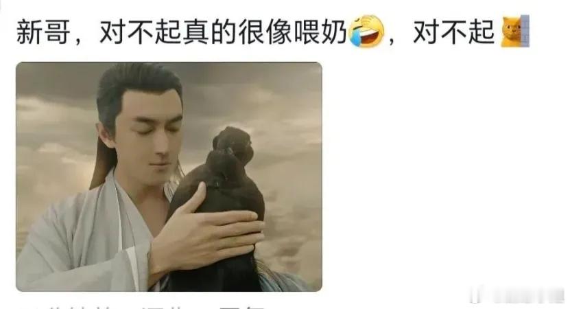 《与凤行》不能看评论区，看了回不去了哈哈，看小图我以为女主的头是一只黑鸟，男主给