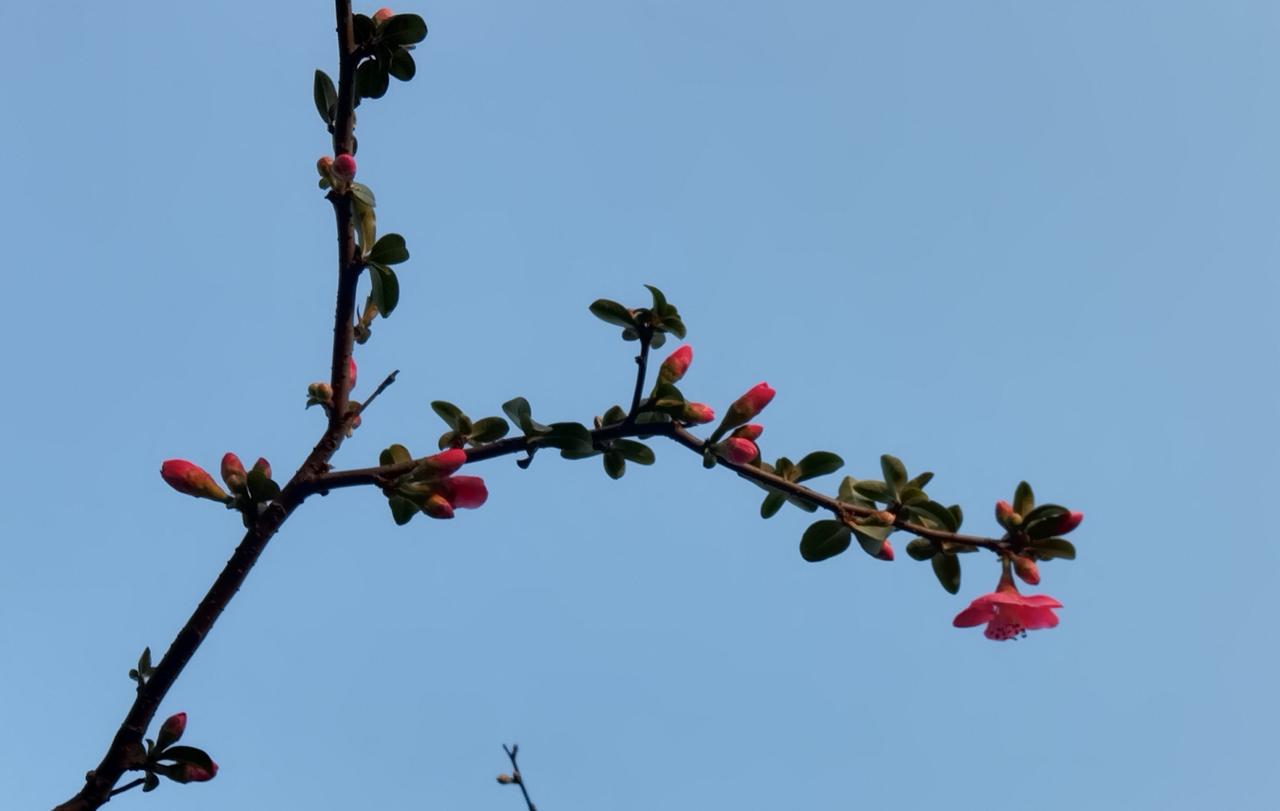 春暖花开，每年春节过后几乎是我们股市的黄金时节！只要不遇经济危机和重大利空事件，