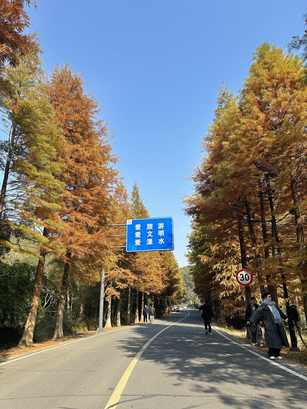 别追城市的喧嚣了，来溧水无想山赴一场红杉之约。秋阳漫过树梢，红浪卷着风。烦恼都被