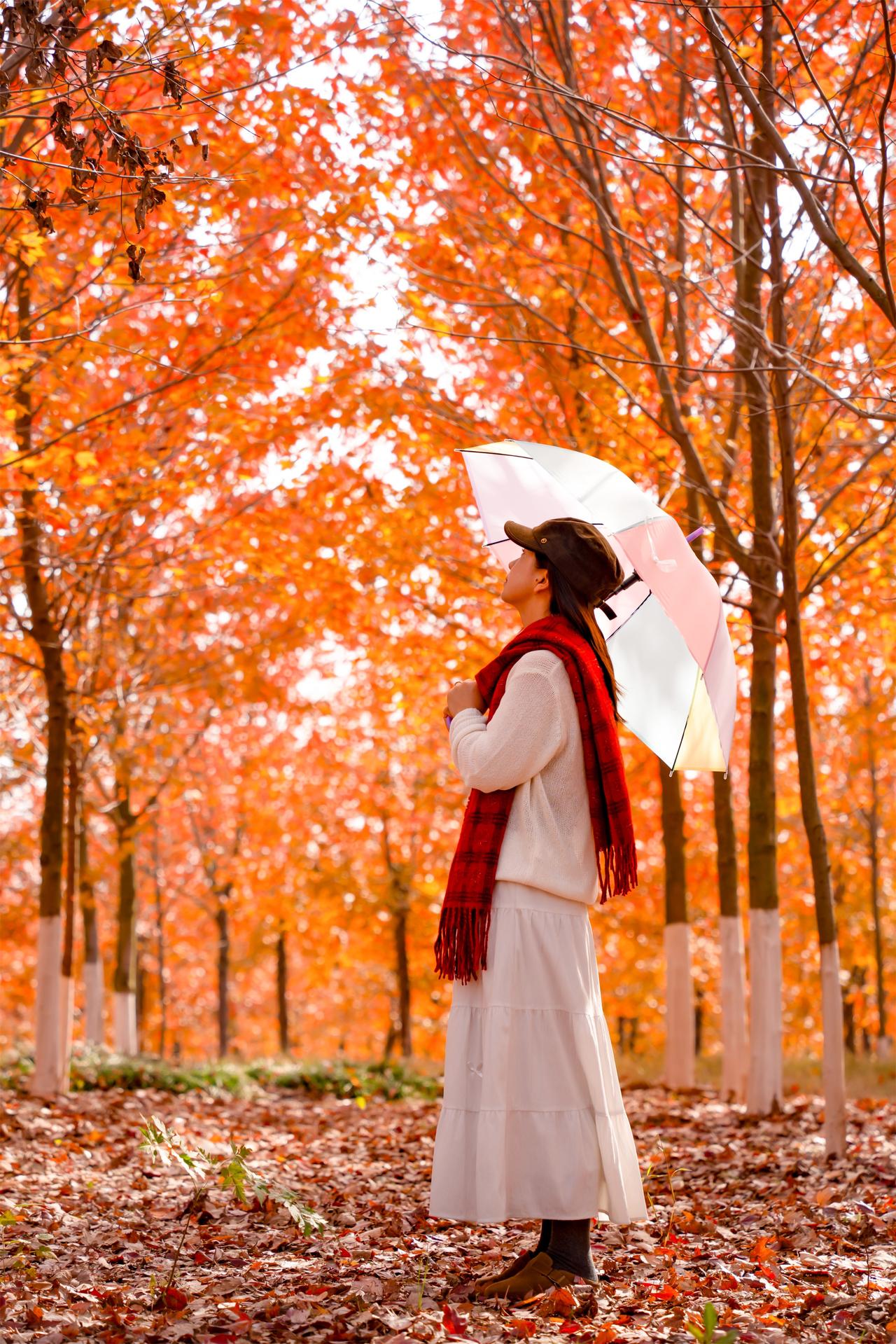 武汉这里已爆红！巨巨巨美！！
本周天晴，去了江夏安山
两个赏枫地都红啦
💥重点