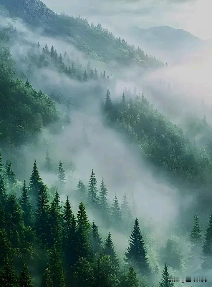 追风赶月莫停留，
平芜近处是春山。