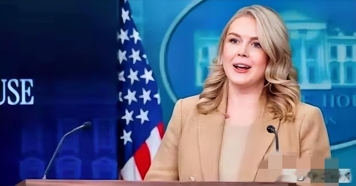 白宫：对格陵兰不排除武力
今天凌晨，卡罗琳在例行记者会上谈到格陵兰岛问题时，随后