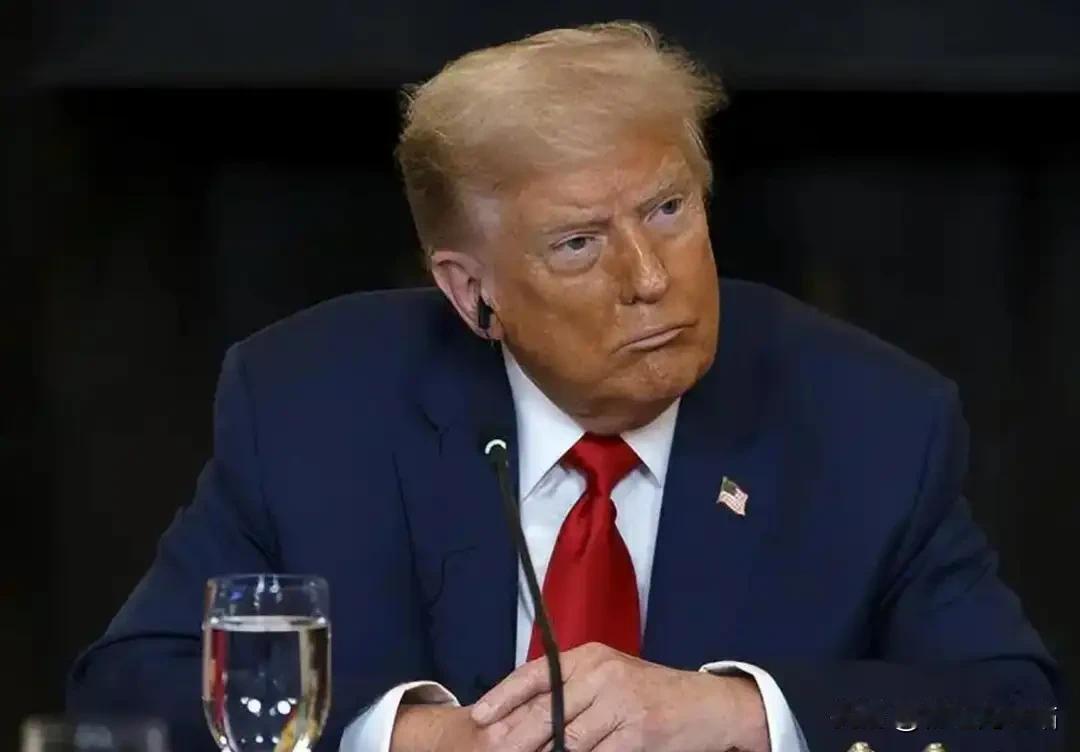 拒当附庸！欧洲8国集体反制美国，特朗普突然改口暂停关税
 
达沃斯论坛上的一场隔