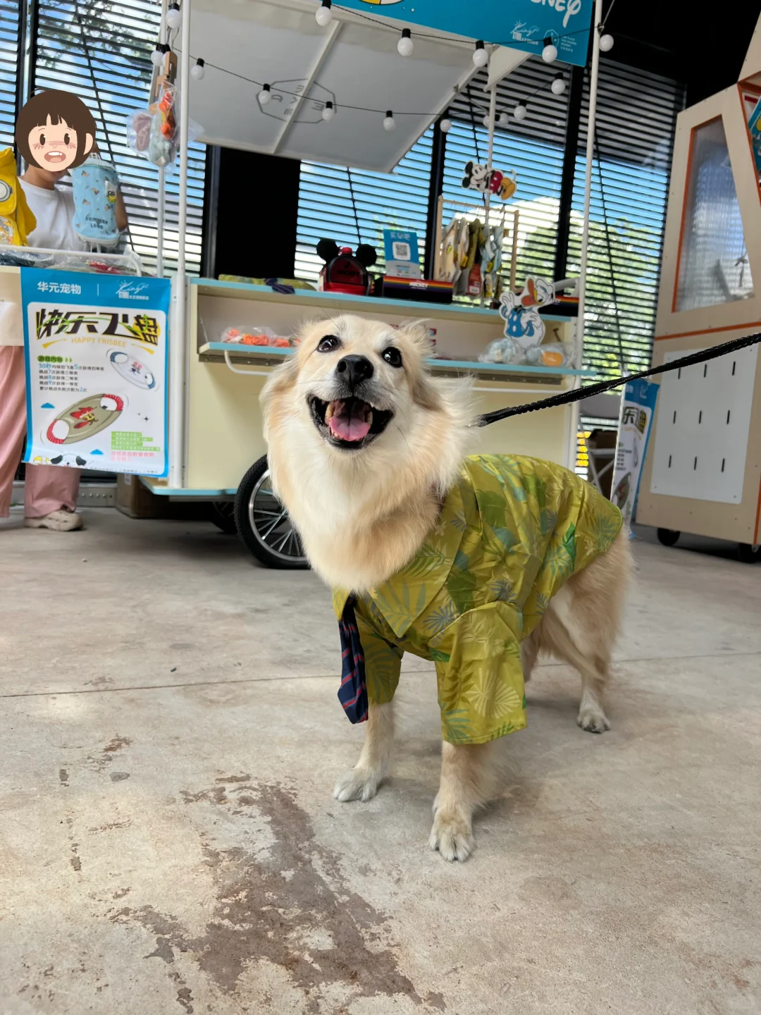 迪士尼在逃小狐狸狗狗 🦊