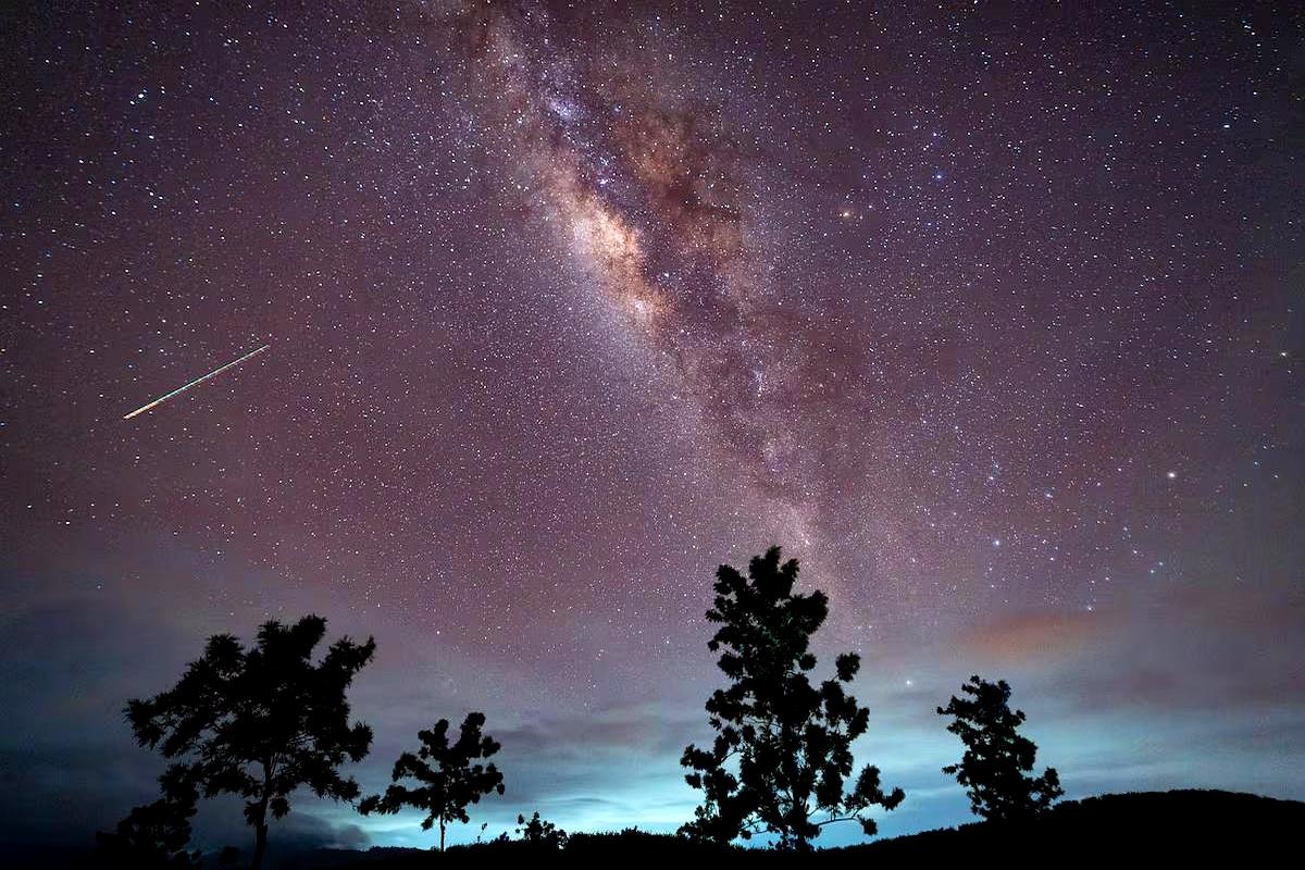 咱们这满身的细胞，难道真是几十亿年前宇宙送来的“外卖”？
西班牙科学家最近在2.