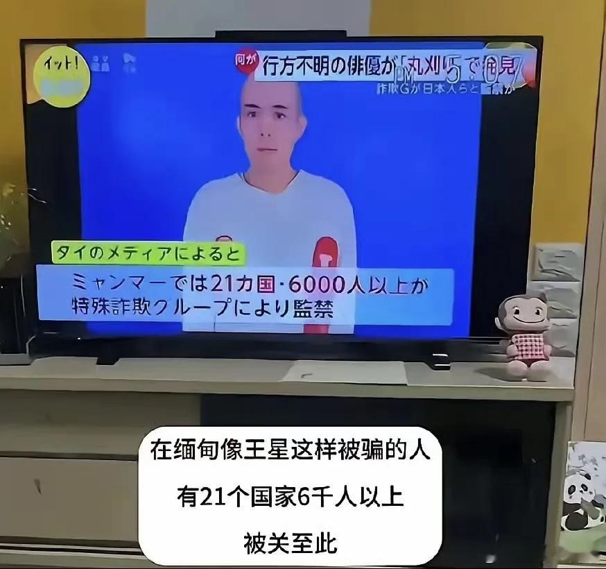 缅北电诈团伙把中国人当猪仔反复买卖 看了这个地图你就知道为什么不能去泰国：除了中