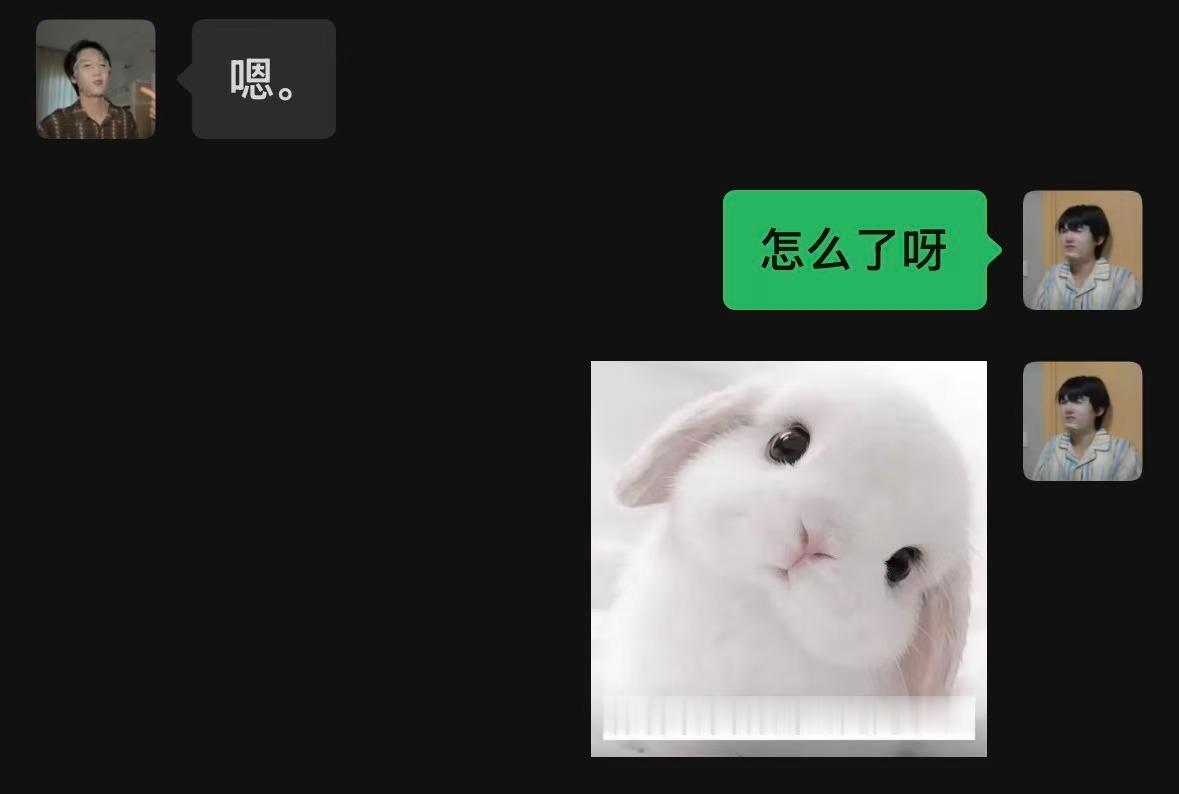 你背着我有别的兔兔啦？ 