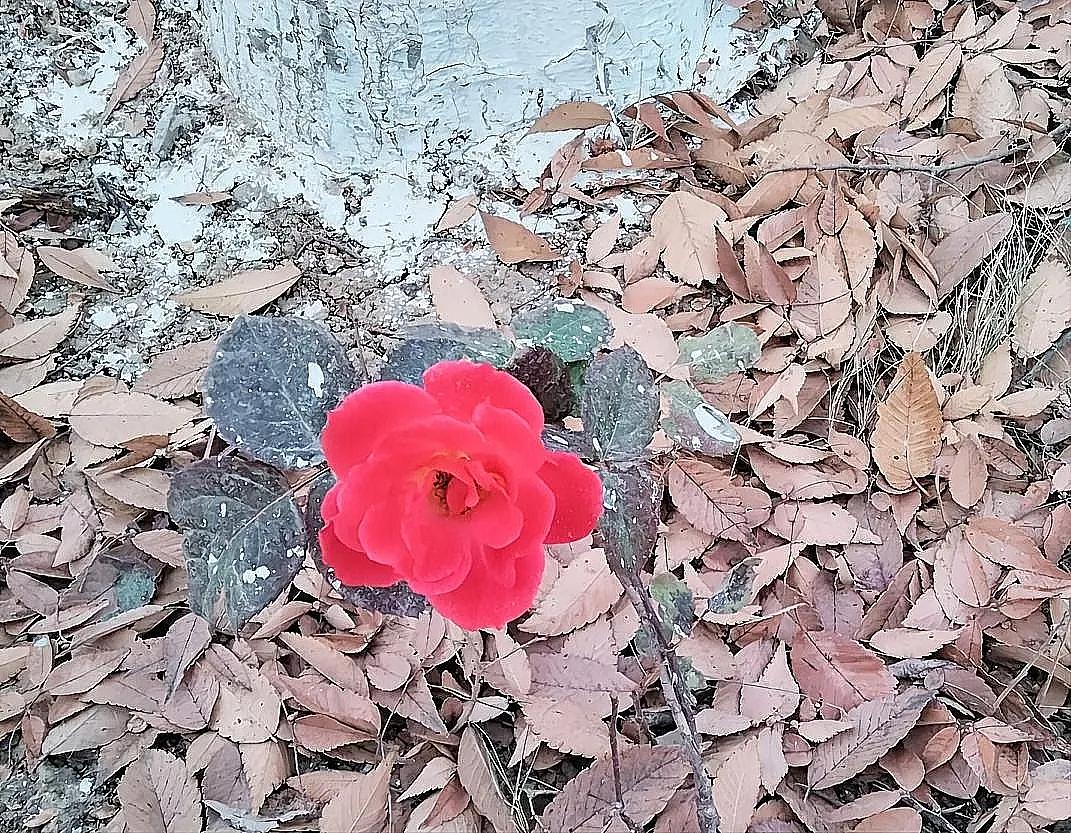 名字真的有玄学，比如翁帆，翁，老人的船。
杜星霖，名字就是万物生，有土有木，有太