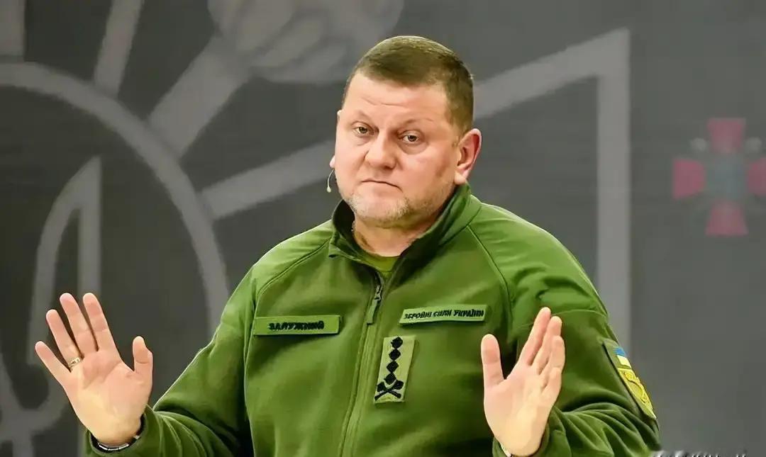 扎卢日内急着回国，我分析有几点原因。
 
1 他选这个时候回来，是因为美国那边传