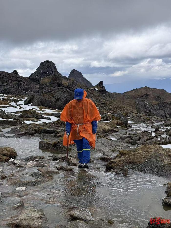 5月19日据报道，云南哈巴雪山这场跨国悲剧，看得人满心酸涩。

一场普通旅行演变
