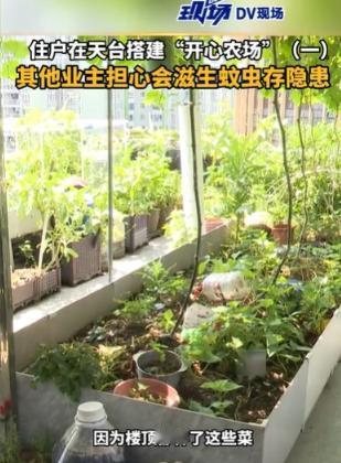 在广东广州，一位业主上到楼顶，发现周围满是菜地，还被蚊子困扰，感到非常不满，他要