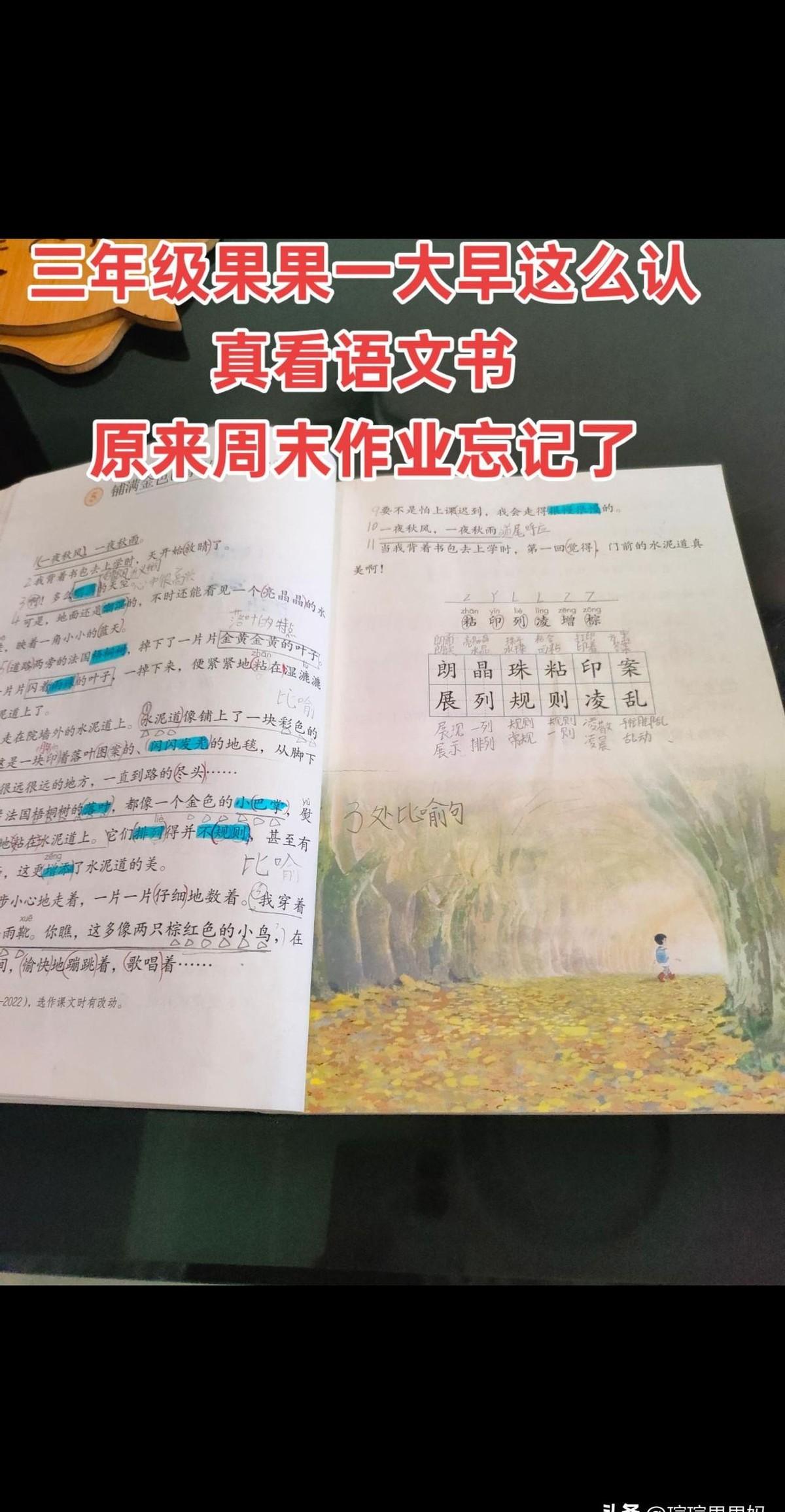 三年级的果果，周一早上七点，全家鸡飞狗跳。
不是因为别的，就因为他突然想起来，语