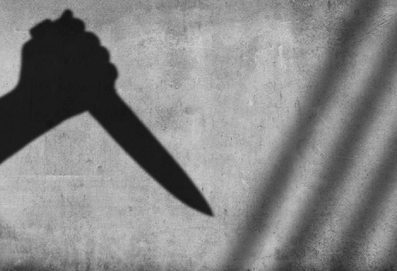 今天，日本东京武藏野市发生一起家庭暴力案件。一名母亲在家中持刀刺伤两名年幼子女，