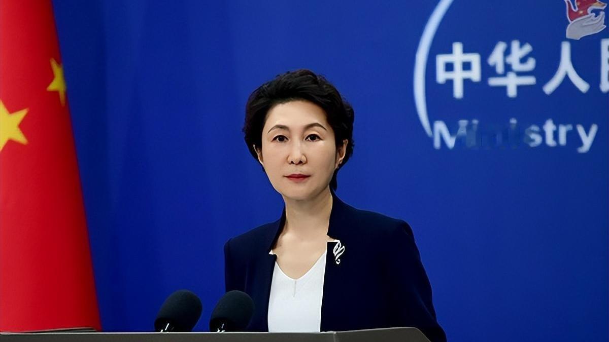 近海海域再起风波，蒋万安发言避重就轻不谈主权，党内纷纷表达失望
 
日菲针对台海