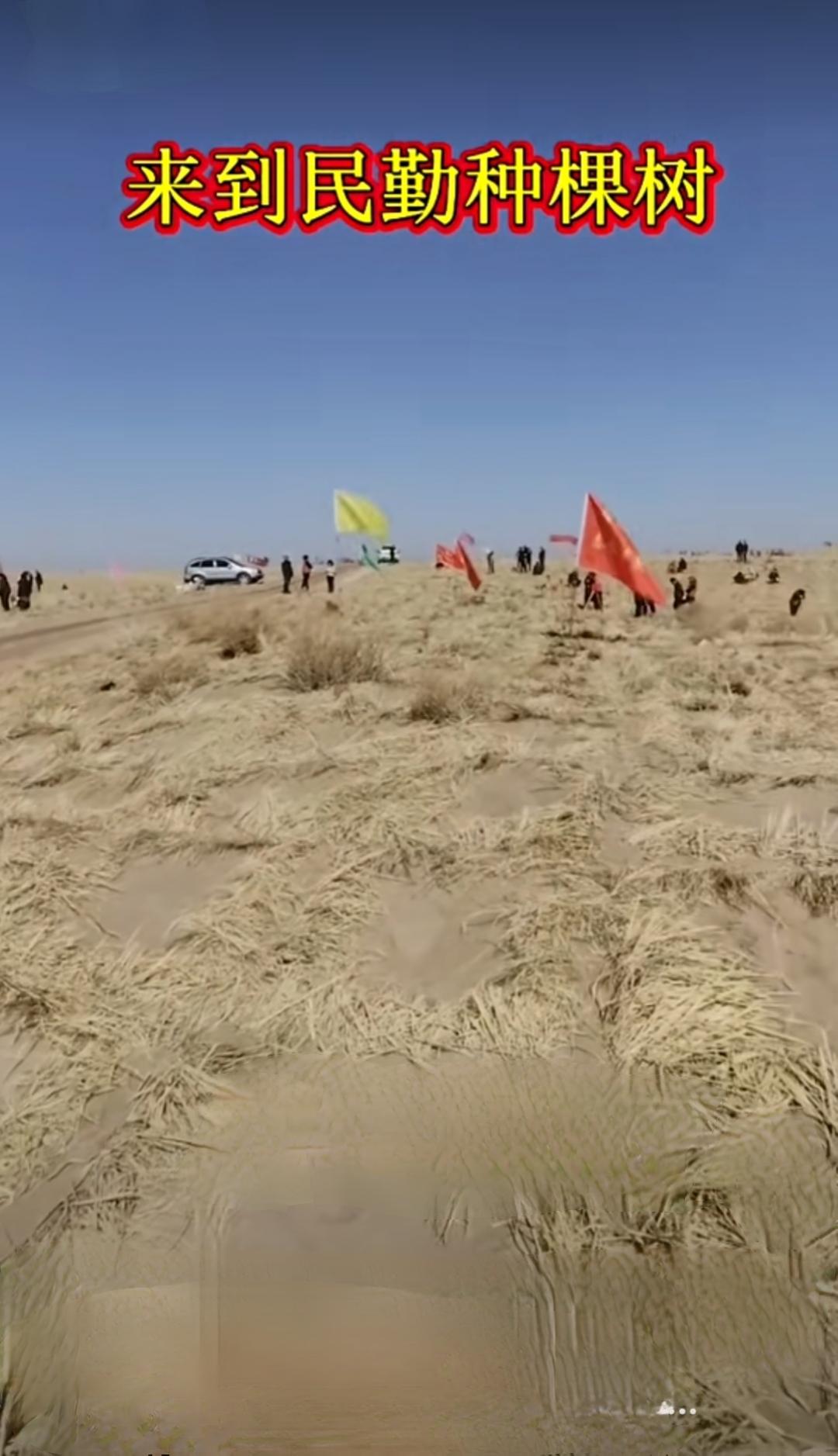 关键发力点

2. 锁定“边缘地带”： 优先在沙漠边缘、绿洲交界处建设“锁边”林