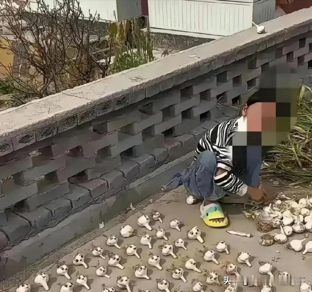 亲生的亲生的，默念几遍就好了。
还好大蒜是要去皮的，所以皮就不重要了，随便画。

