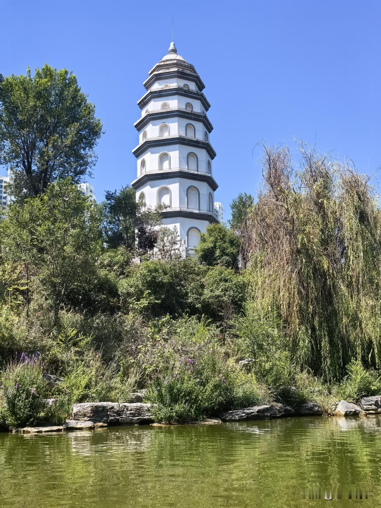 今天一大早，小孙女就吵着要逛西宁人民公园。匆匆吃完早饭，打车直奔公园，开启祖孙欢