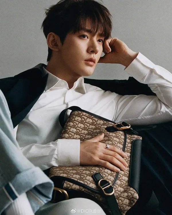 邓为迪奥物料，小王子👑 