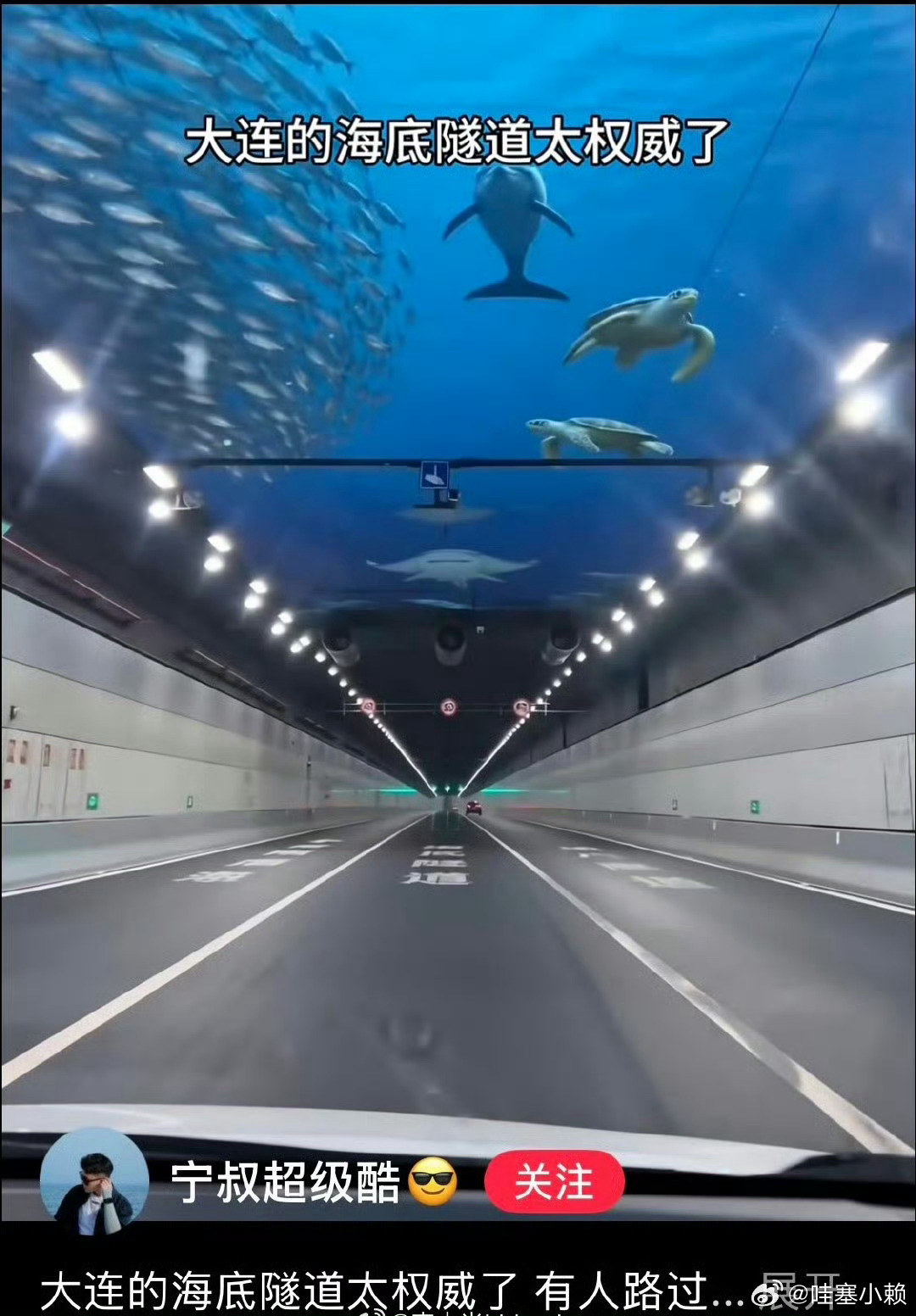 小红书旅游帖 诈骗唉你说人家又不是商家，广告法又管不了人家，被骗过去了只能自认倒