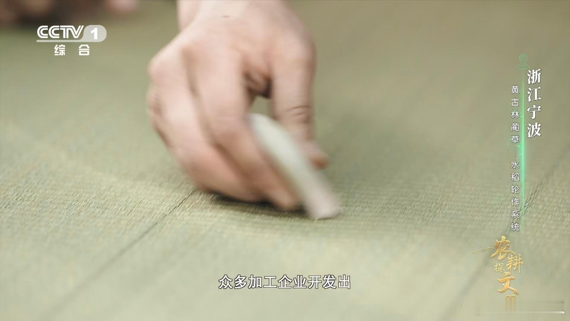 女子用草编出一整个动物园 宁波非遗传承人冯丽萍超厉害！突破草编传统技法，打造动物