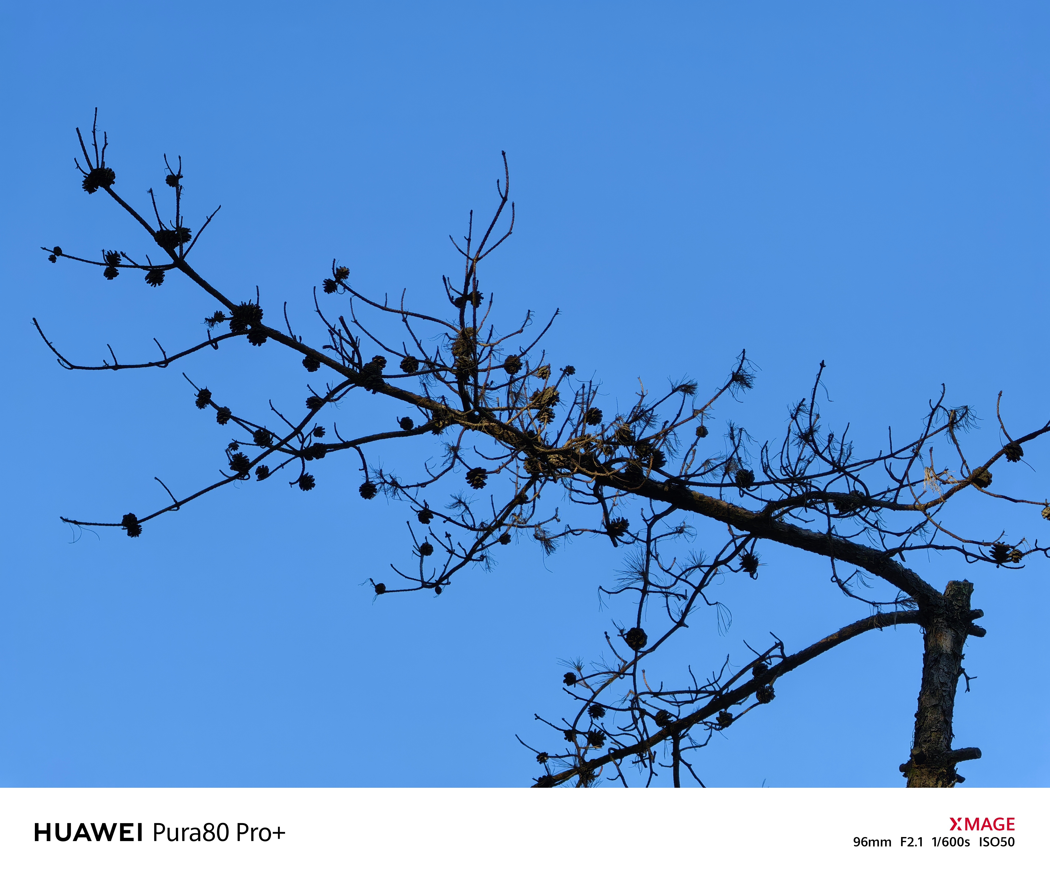 感受华为红枫原色影像的色彩魅力，华为 Pura80 Pro+随手拍，色彩观感很舒