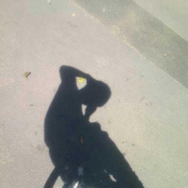 这是静午言