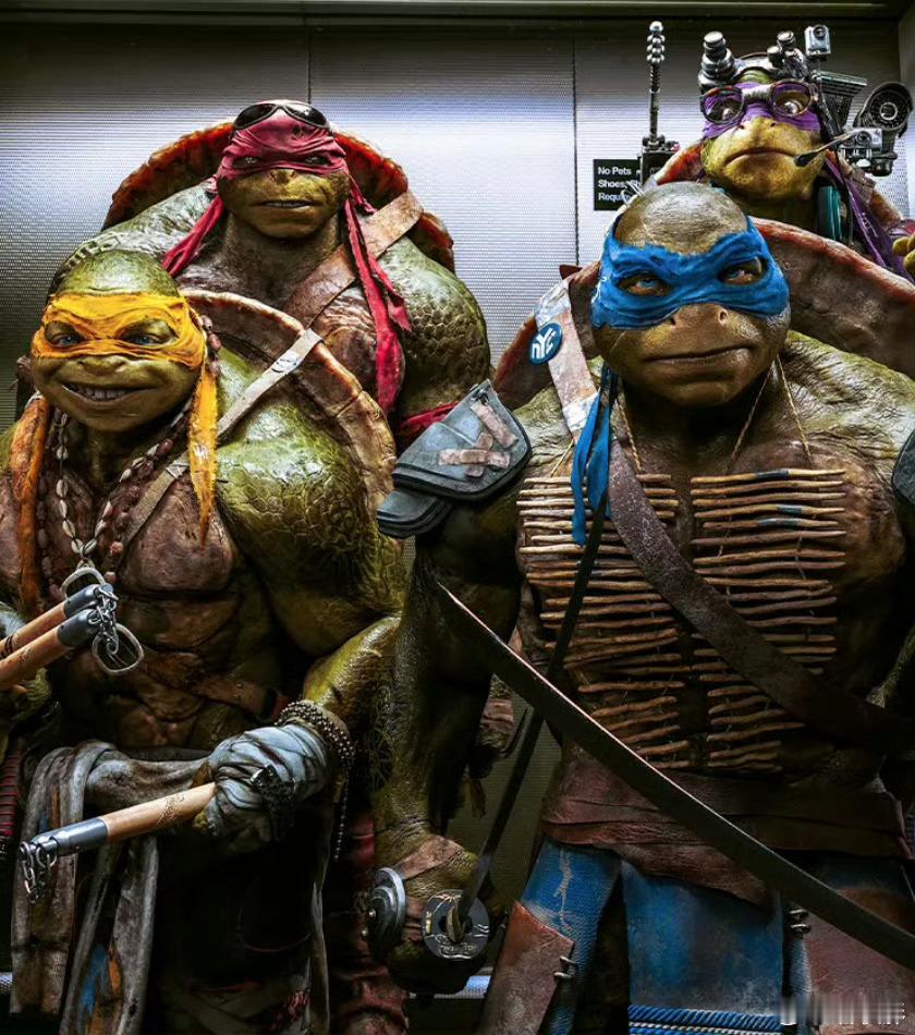 派拉蒙宣布两部未定名新片北美定档，《忍者神龟 》真人/CG动画电影2028年11