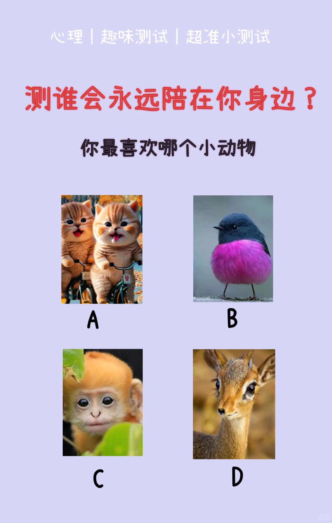 🔥测试｜测谁会永远陪在你身边？