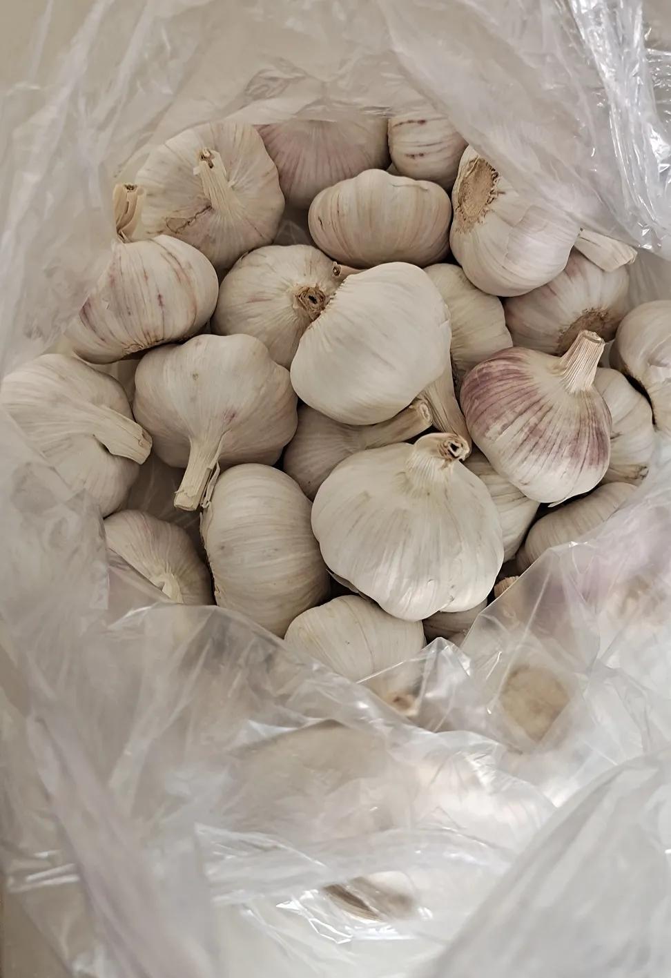 东营的大蒜卖出了天价，今年还腌腊八蒜吗？


还记得去年的大蒜挺贵的，四五块钱一