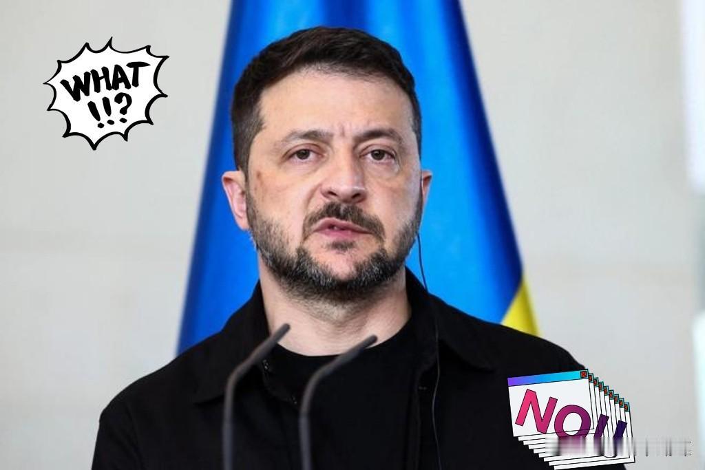 最新消息！
泽连斯基的“和平计划”有了新进展。

12月26日，他宣布新版20点