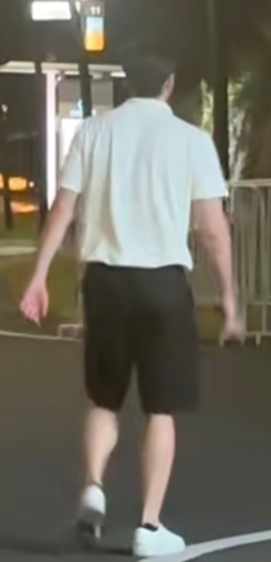 大！ 