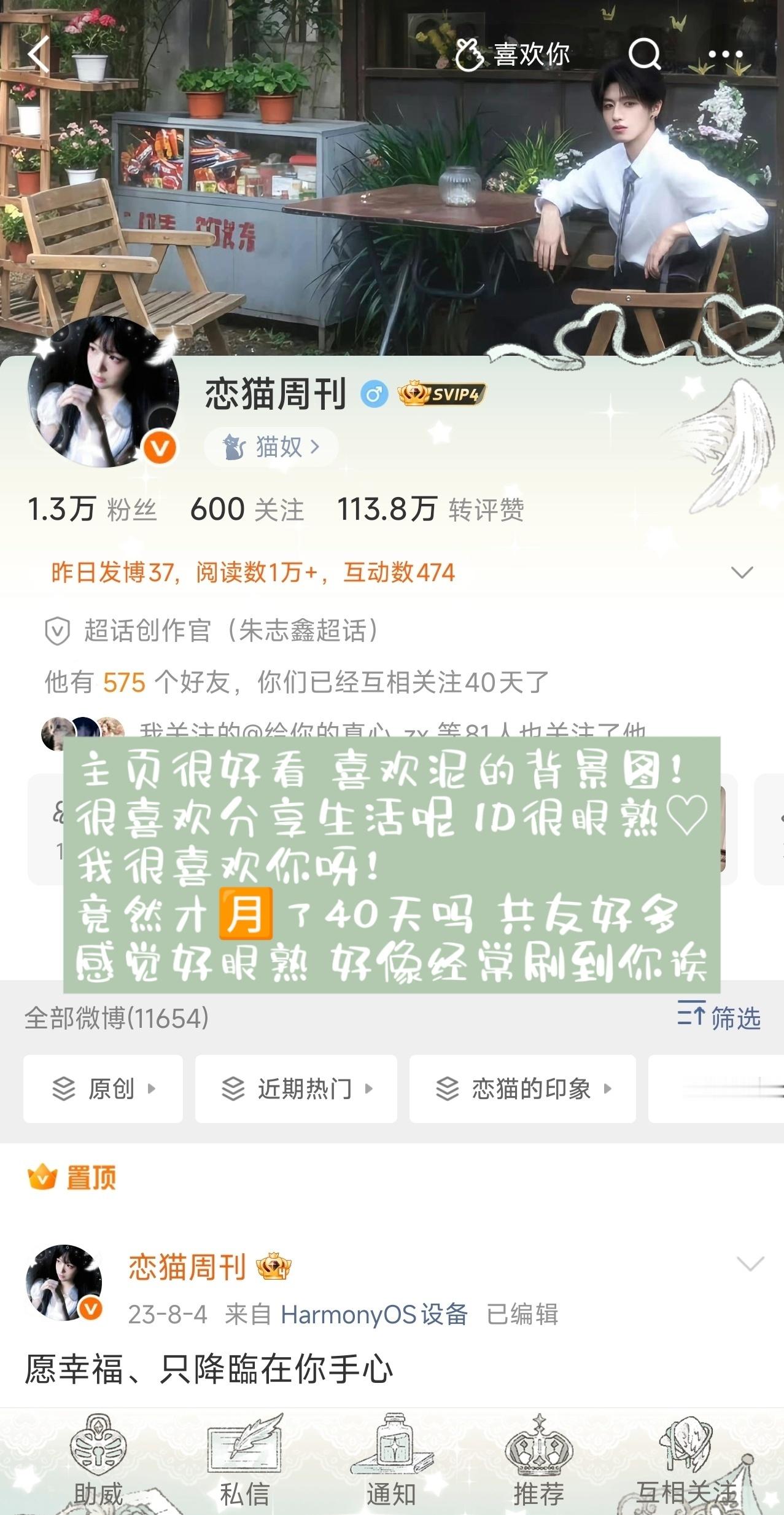 存一个 专栏 · 恋猫的印象