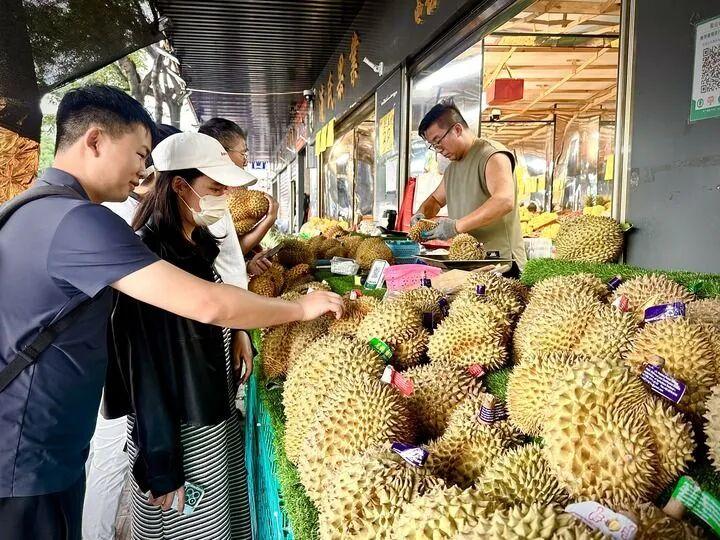在昆明金马正昌水果批发市场，金枕、甲仑、托曼尼等泰国产榴莲琳琅满目，金枕的价格每