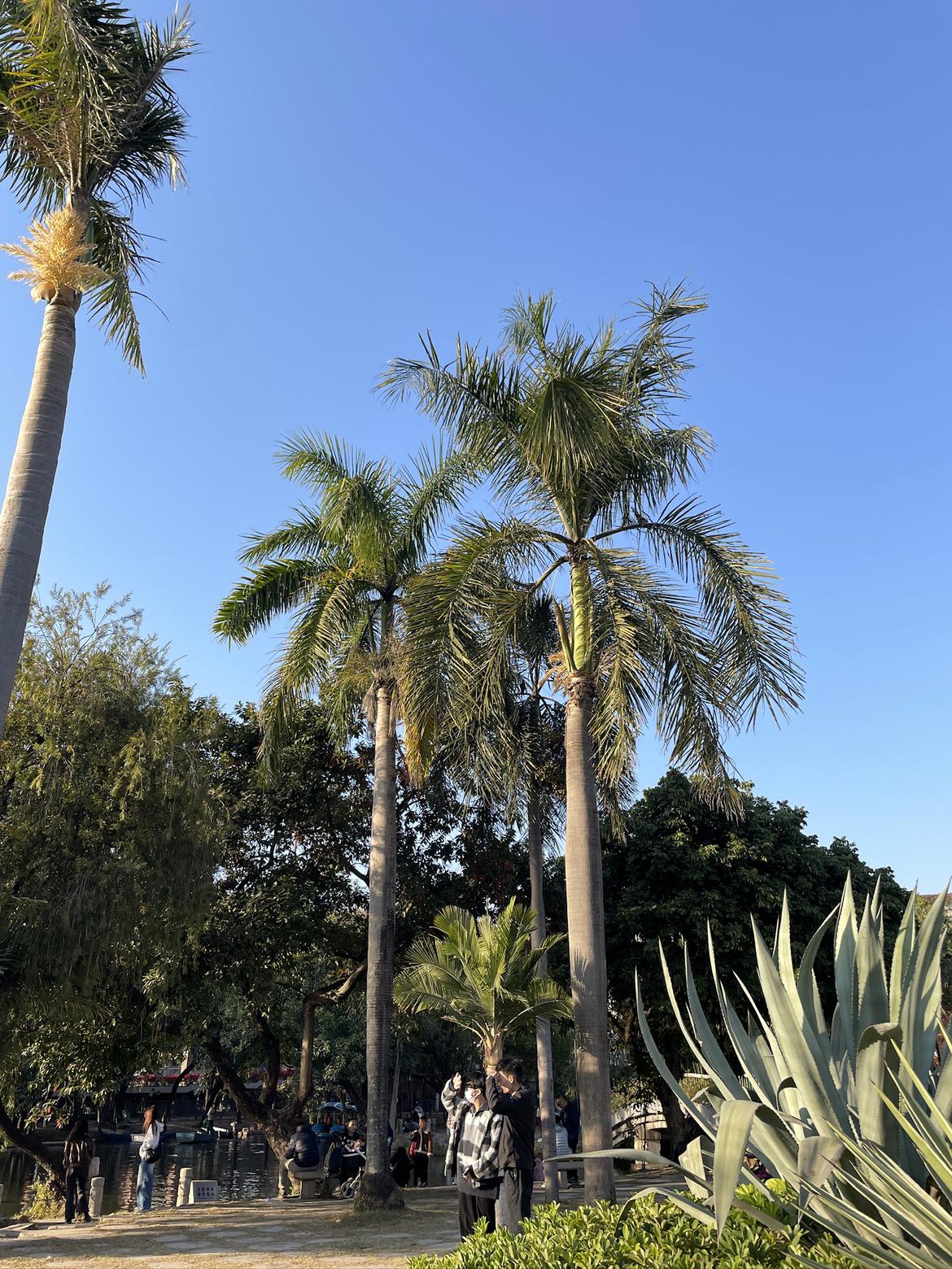 我的今日状态：😁轻松愉快
我这里的天气：🌤️多云