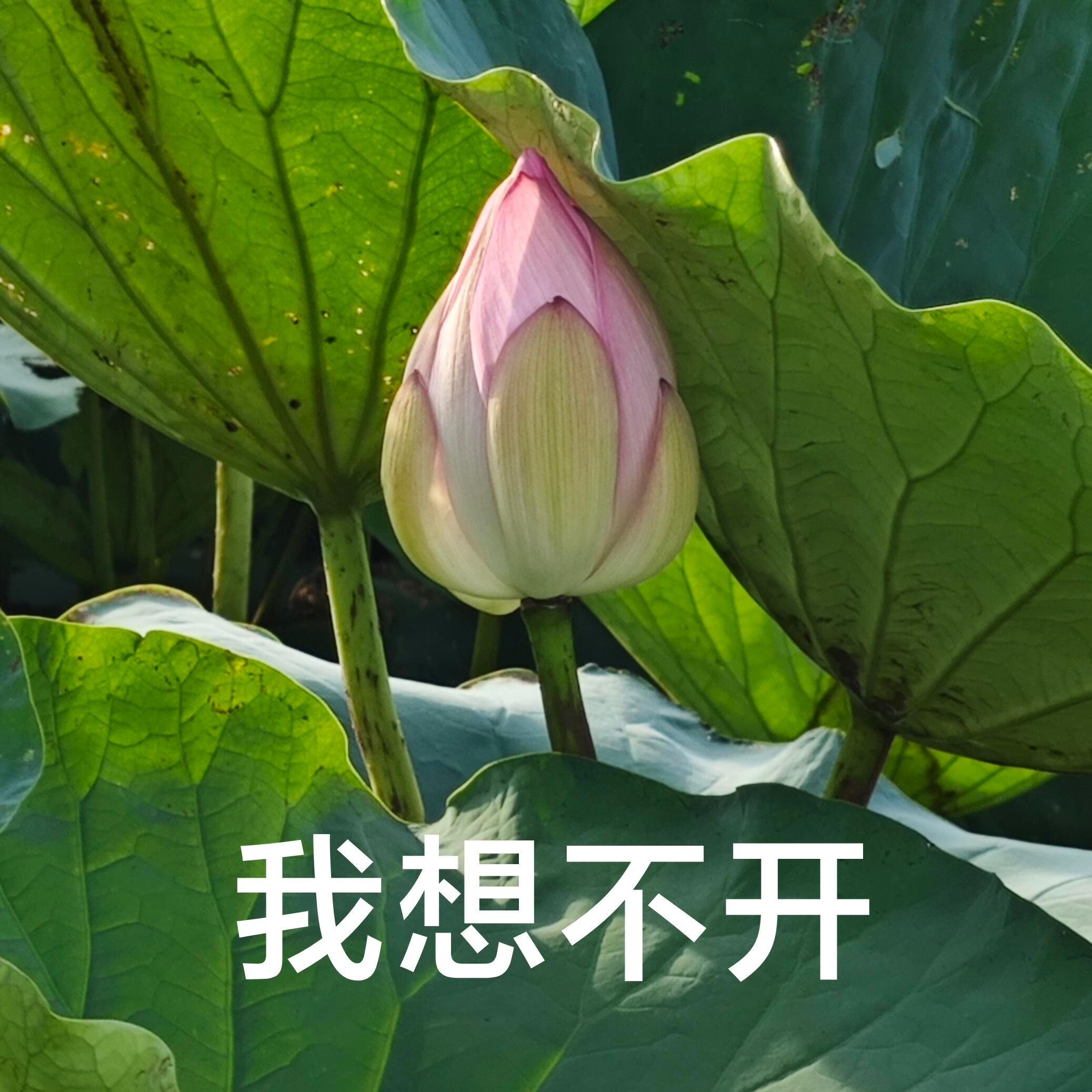 仅作分享 