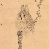 宝贝聚聚科技