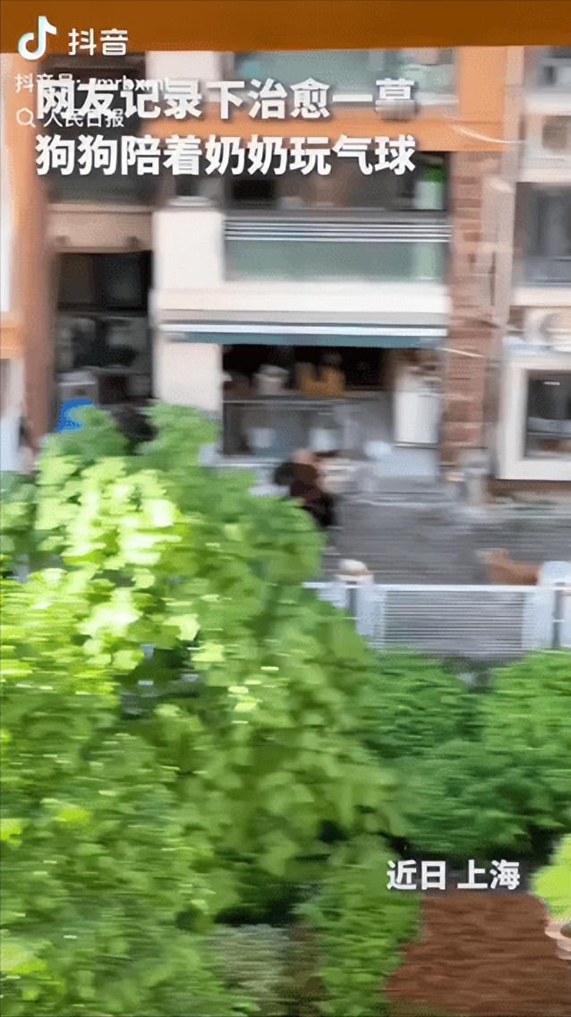“治愈全网！”平凡生活里最暖心的一幕，有个大哥加班加到脑袋发懵，端着杯子去阳台透