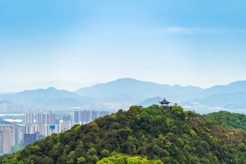 娃哈哈集团；创建、宗庆后先生，构筑国家供应链、构筑资源高效利用、精良设计、政策兼
