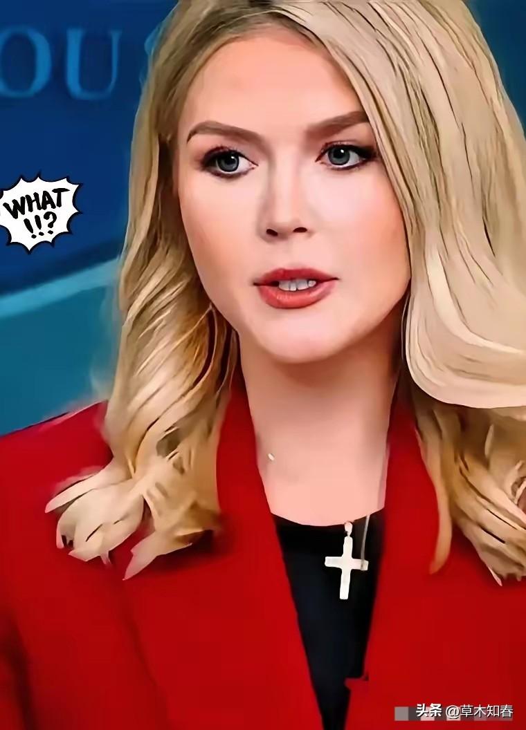 特朗普这步棋，走的真绝，2026年3月30日，美国白宫新闻秘书莱维特在记者会上说