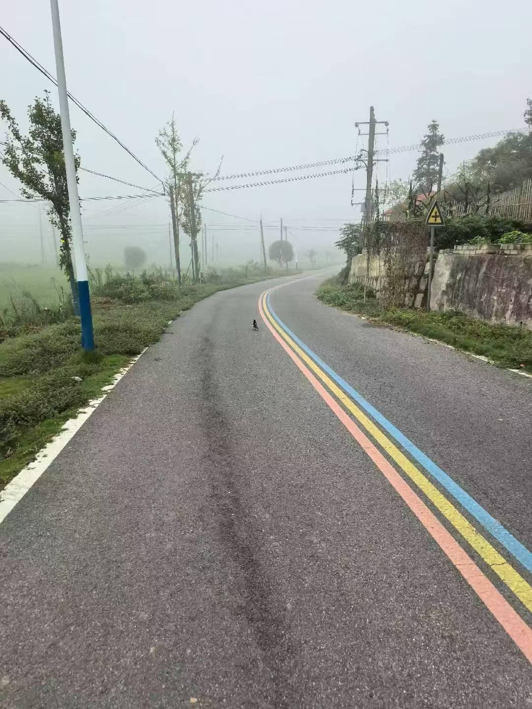 我发现
女人会开车、敢开车，这个真的太有必要了！早在十几年前我就拿到了驾照，