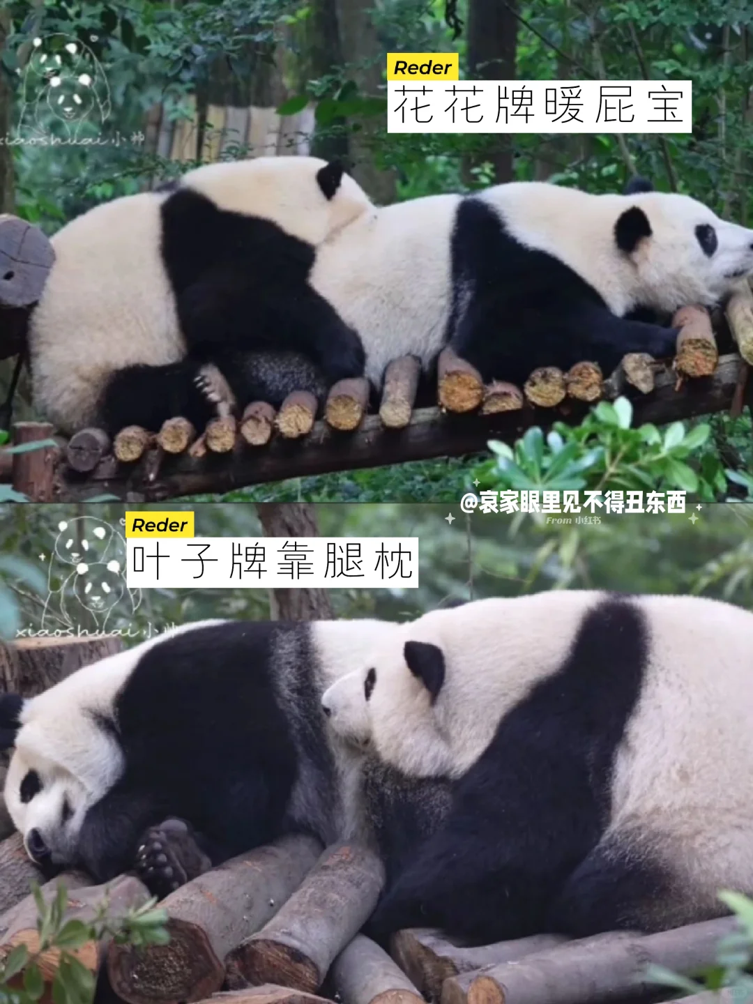 哇❗️冬日限定好礼，你值得拥有❗️