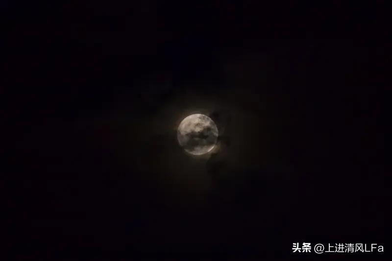 2026年4月，狮子座的运势就像坐过山车。月初满月，任务量激增，会议、出差、培训