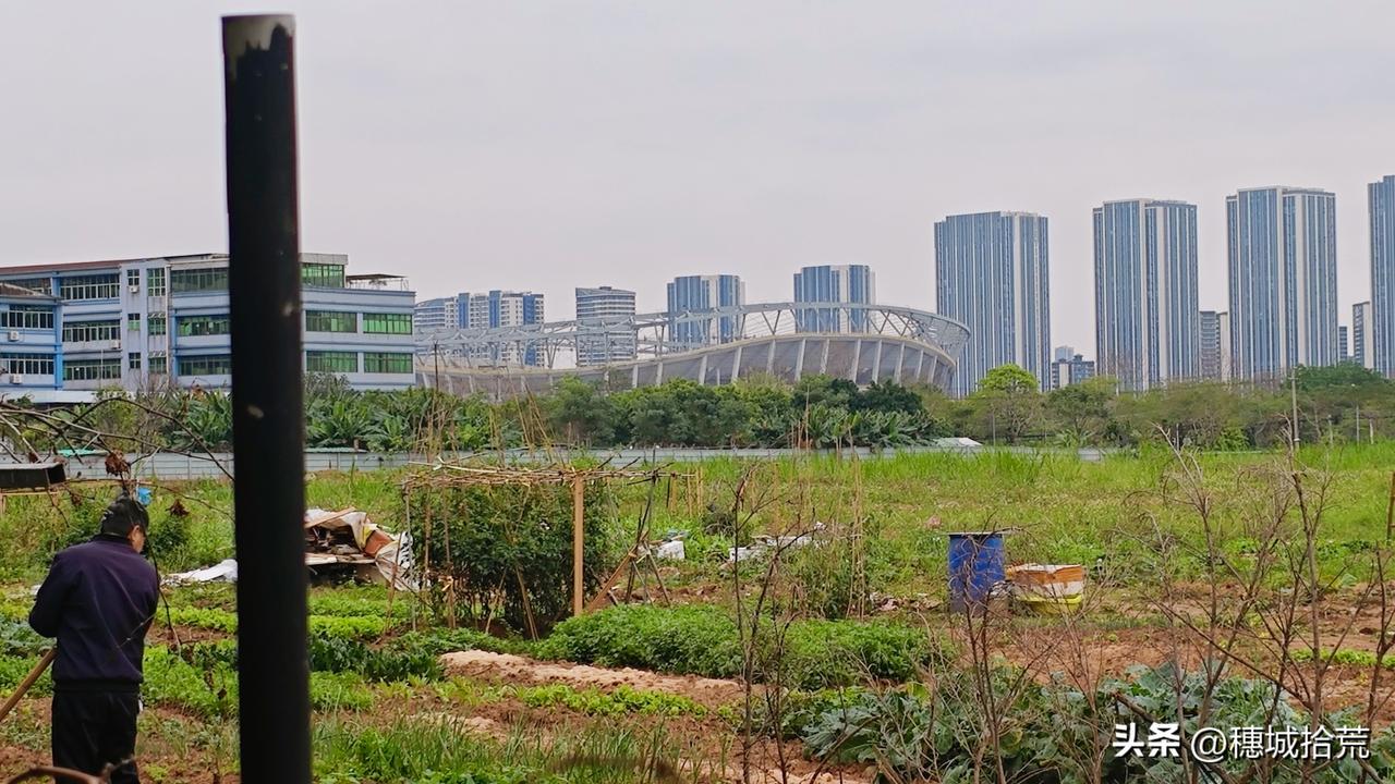 恒大球场的位置优越，靠近广州南站，今天过来附近办点事，在旁边的农田远远就能看到传