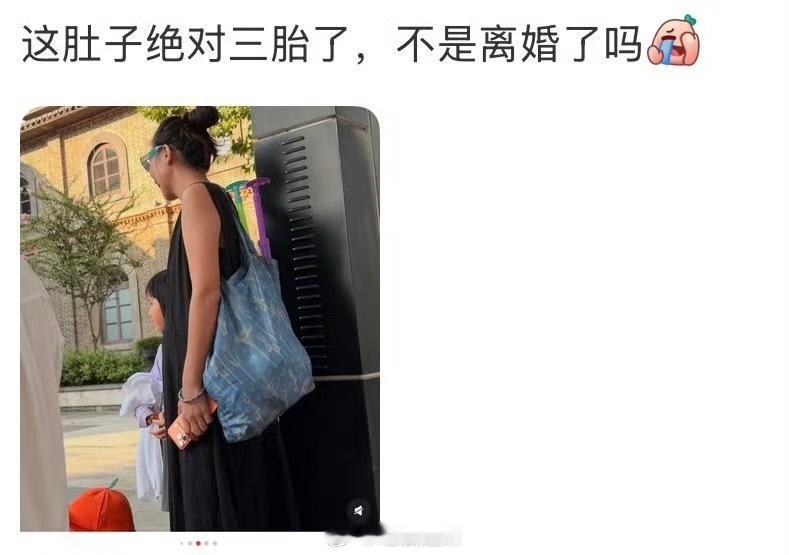 张婉婷宋宁峰感情稳定 宋宁峰出轨风波后网友偶遇宋宁峰张婉婷一家四口一同出游，网友