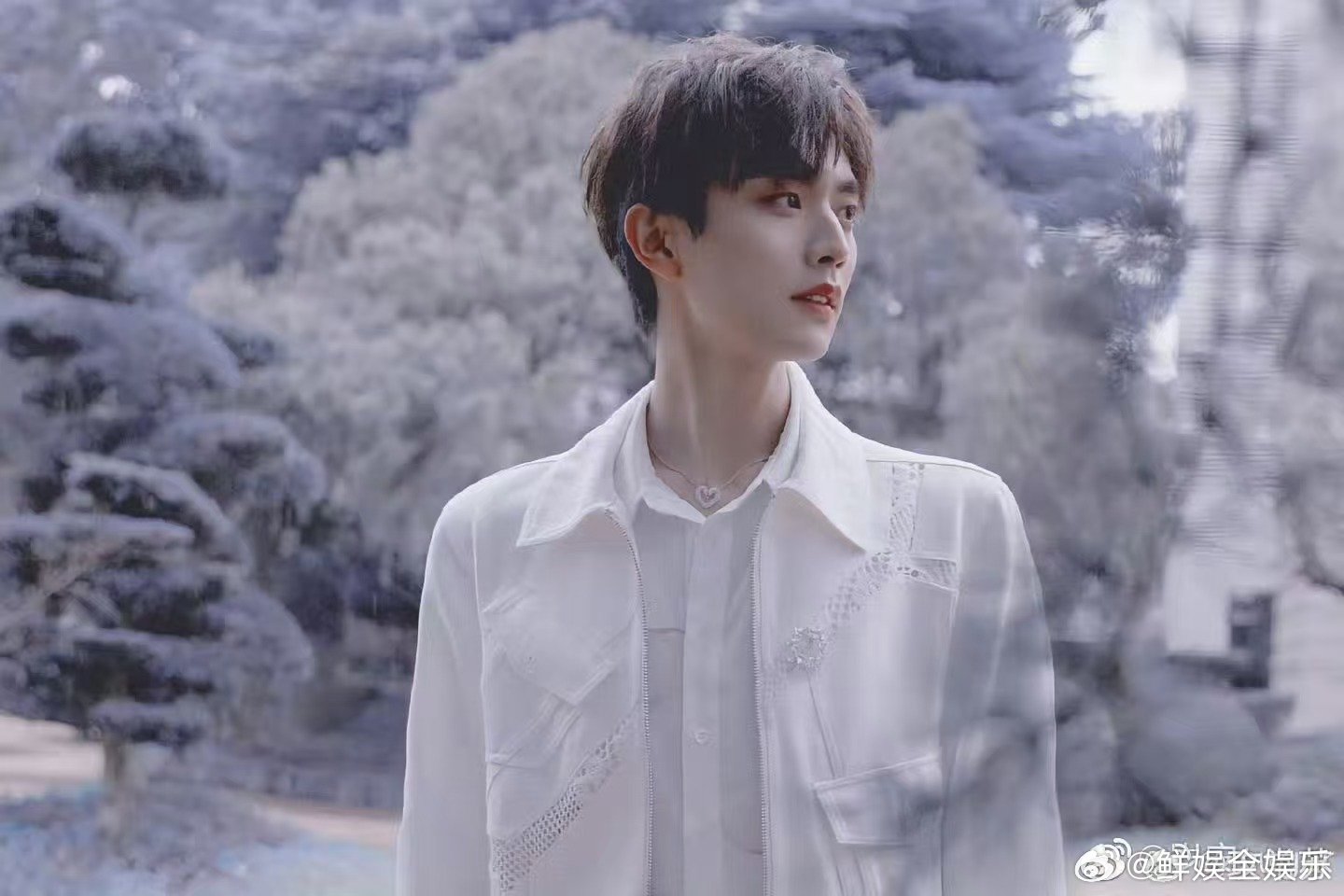 王敬轩顶级中译中初入职场中医季开播 刘清泉大夫的专业建议，经王敬轩“中译中”变成
