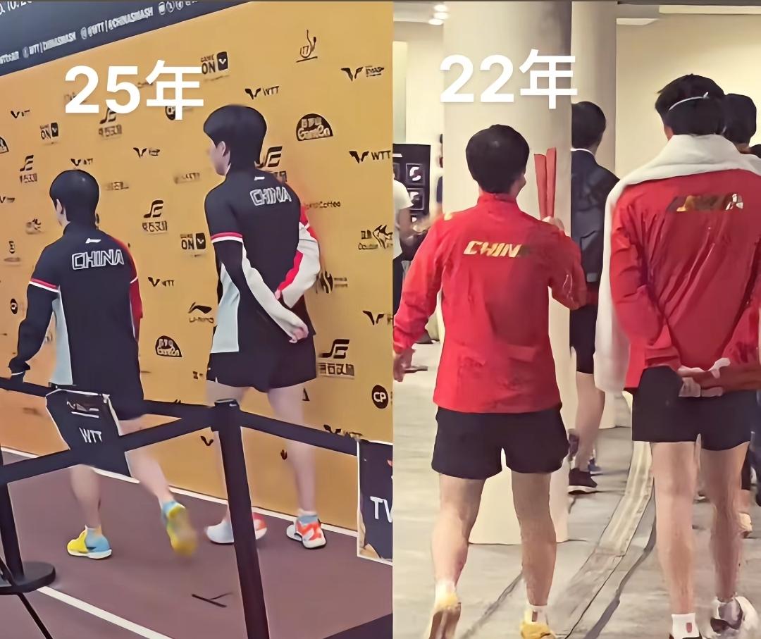 王楚钦孙颖莎