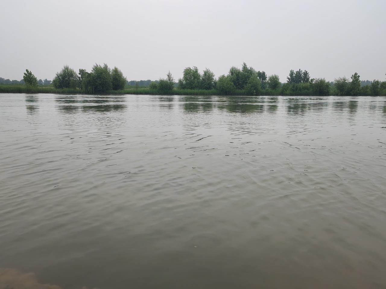 河水暴涨！早晨5点来至滹沱河边，近日几场连续降雨，使河面开阔增加了不少。