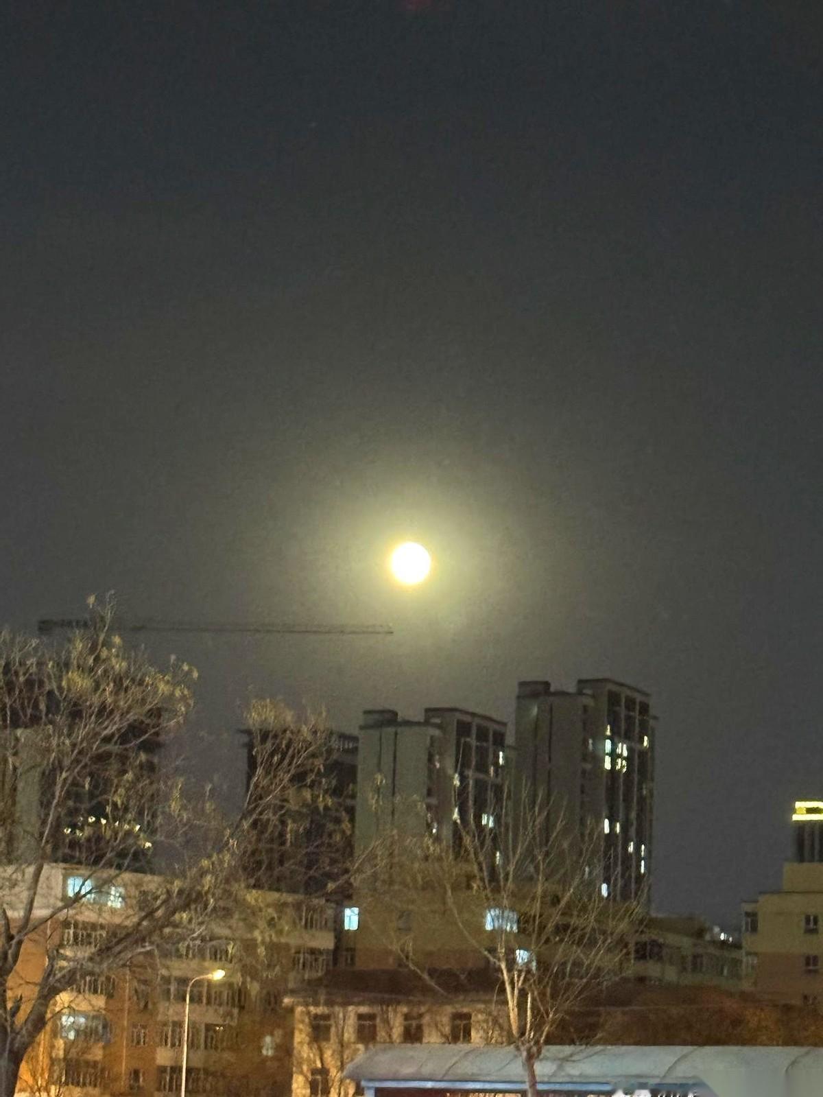 老祖宗说，今年冬天，能把牛冻死。
因为今年是“早大雪”。
翻了下日历，还真是。节